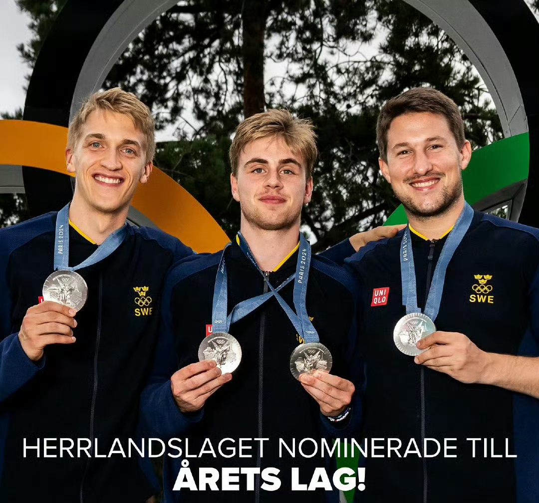 瑞典险胜丹麦，范佩西一己之力扛起全队的简单介绍