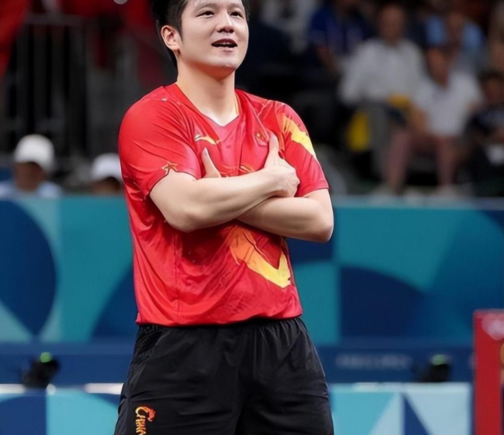 中国乒乓球队血洗波兰乒乓球队，樊振东绝境逆转的简单介绍