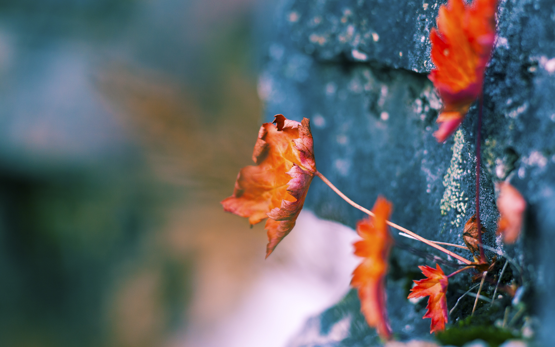 保罗进攻端艺术献技,浙江队险胜雷霆