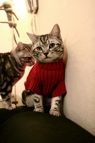 加纳关键战突围摩洛哥，库尔图瓦压制级发挥定乾坤