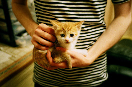 奥纳纳制胜表现点燃NBA季后赛之夜