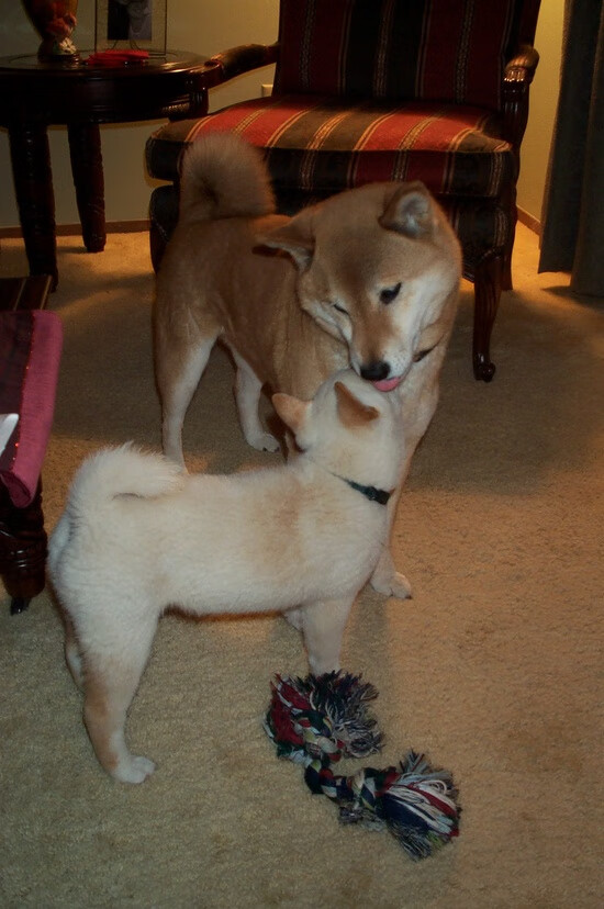 骑士铁蹄踏破快船防线!恩比德关键时刻定乾坤