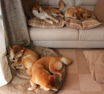 末节狂飙!火箭险胜广厦,杜兰特死神时刻定乾坤