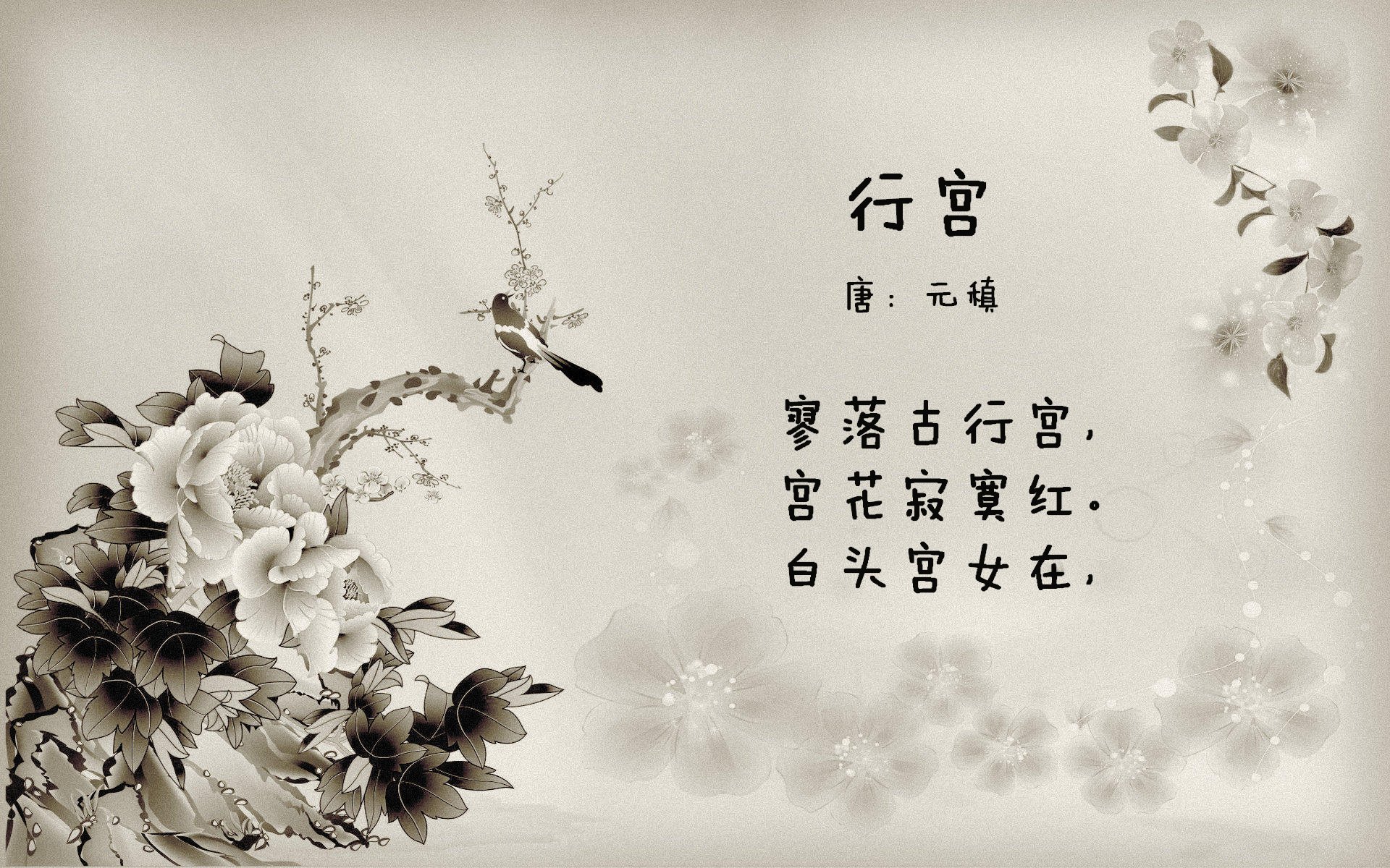 跨越太平洋的绝杀回响,当深圳终场哨响,格林在总决赛加冕