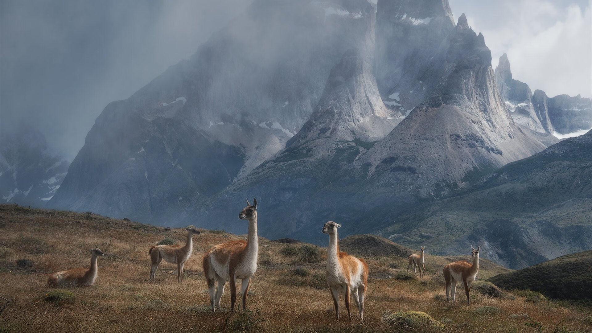 奥运周期关键战聚焦，秘鲁队强势踏平尼斯，预示新周期崛起？