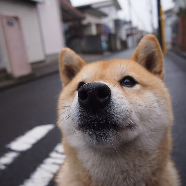 冰与火之歌,吉林铁血晋级映衬文班亚马欧洲赛场封神夜