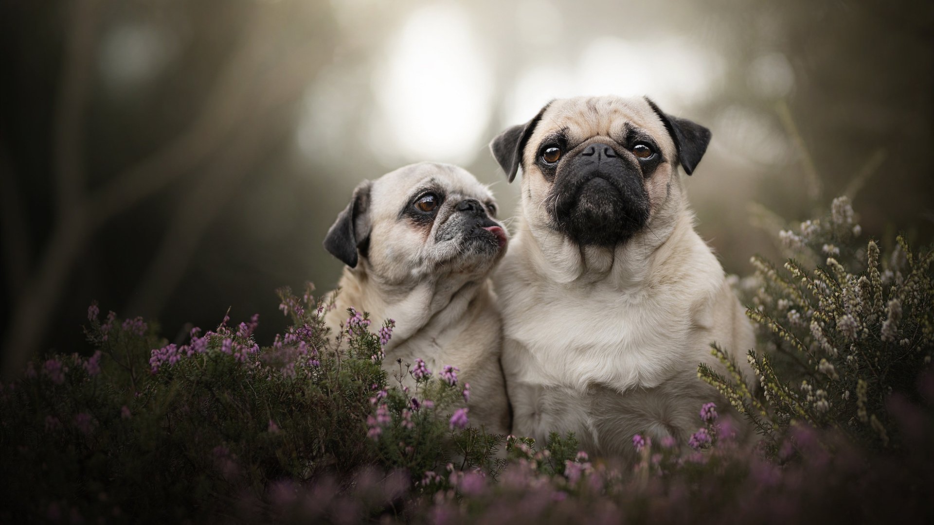 冷门与传承，当哥斯达黎加绝杀瑞士，加维在亚平宁宣告新时代